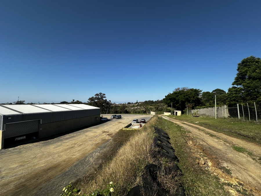 To Let Commercial Property for Rent in Wilsonia Eastern Cape